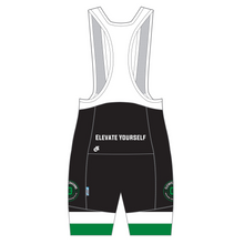 Load image into Gallery viewer, Performance Bib Shorts