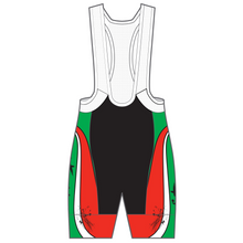 Load image into Gallery viewer, Performance Bib Shorts