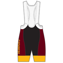 Load image into Gallery viewer, Performance Bib Shorts