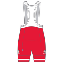 Load image into Gallery viewer, Performance Bib Shorts