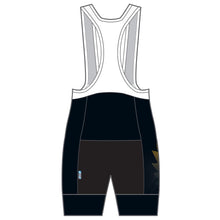 Load image into Gallery viewer, Performance Bib Shorts