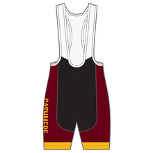 Load image into Gallery viewer, TECH Bib Shorts