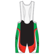 Load image into Gallery viewer, TECH Bib Shorts