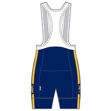 Load image into Gallery viewer, Performance Bib Shorts