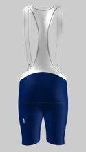 Load image into Gallery viewer, Performance Bib Shorts