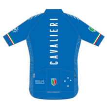 Load image into Gallery viewer, PERFORMANCE+ Jersey