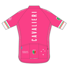 Load image into Gallery viewer, PERFORMANCE+ Jersey