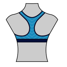 Load image into Gallery viewer, Performance Sports Bra
