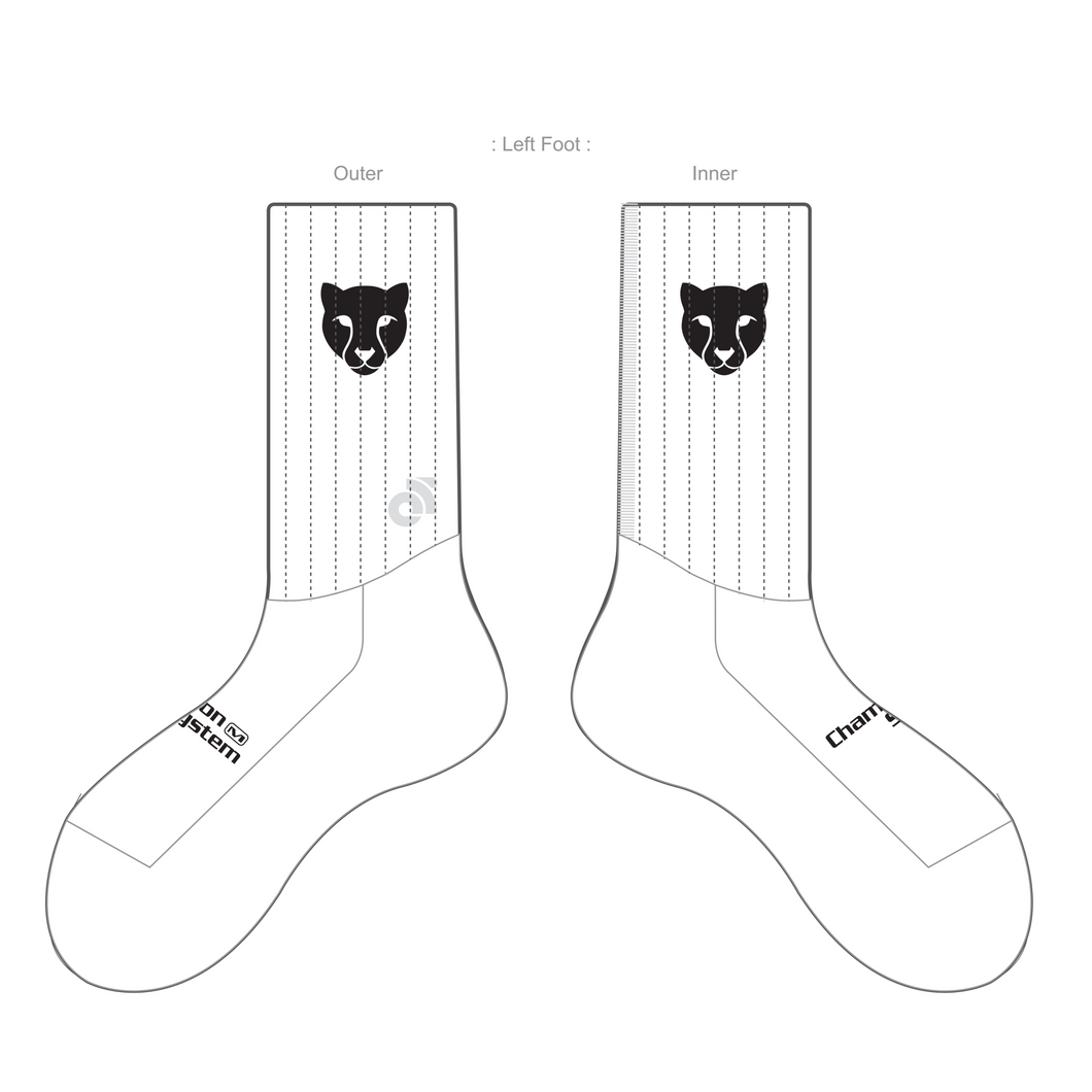 APEX Aero Race Socks