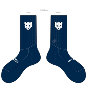 APEX Aero Race Socks