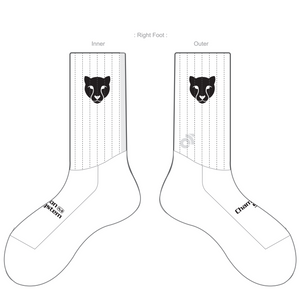 APEX Aero Race Socks