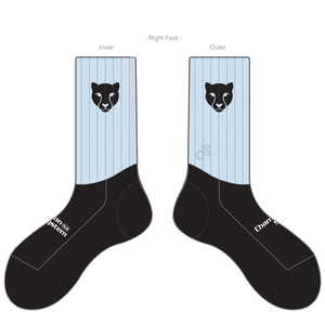 APEX Aero Race Socks