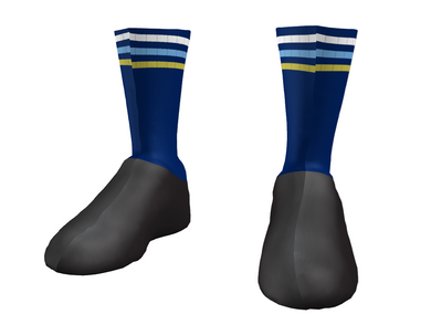APEX Aero Race Shoecovers
